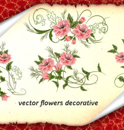 盛开的鲜花花纹图案PS笔刷素材（PNG透明格式）