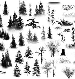 大树、森林、雪松、树叶、山林、野草等植物图形PS笔刷素材