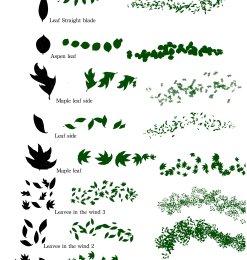 8种树叶、叶子形状PS笔刷素材（PNG图片格式）
