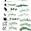 8种树叶、叶子形状PS笔刷素材（PNG图片格式）