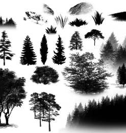 水墨风格的杉树、大树、松树等图形PS笔刷素材