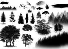 水墨风格的杉树、大树、松树等图形PS笔刷素材
