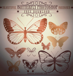 昆虫蝴蝶图案PS笔刷素材
