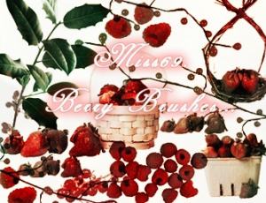 树莓类水果笔刷